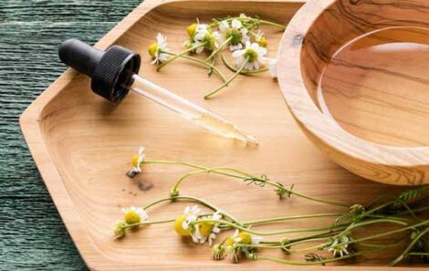 Roman Chamomile Essential Oil: Amazing Flower Power With A Soft Touch Image